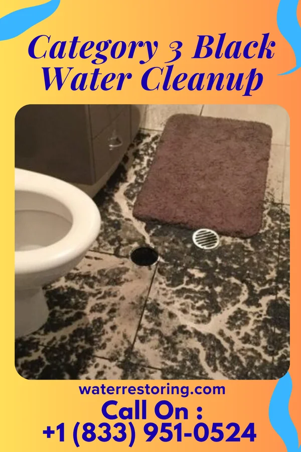 Category 3 Black Water Cleanup in Four Square Mile, CO