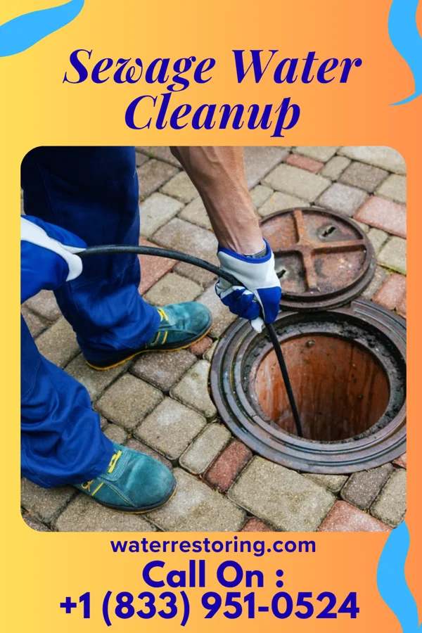 Sewage Water Cleanup in Four Square Mile, CO